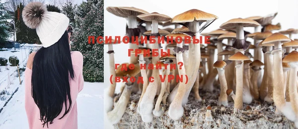 круглые Козельск