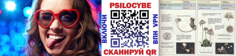 Купить  Глазов  Галлюциногенные грибы прущие грибы 